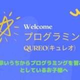 QUREO(キュレオ)ではじめるプログラミング-早くから学ぶ方がイイワケ